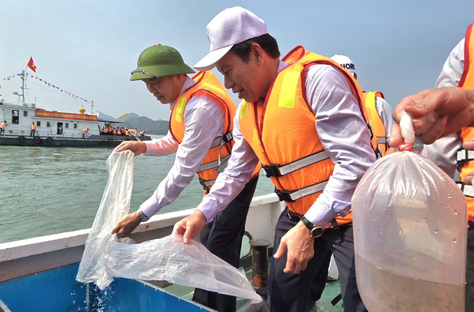 Hơn 1 triệu con giống thủy sản được thả xuống vùng biển Cát Bà.